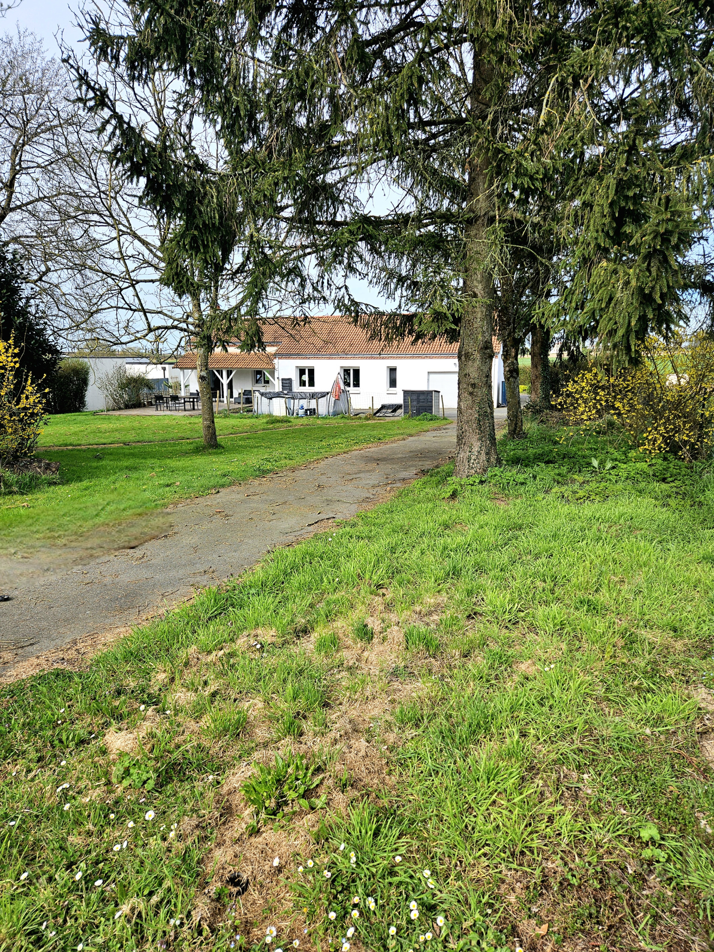 Vaste maison de plain-pied avec terrain clos et arboré au Lo