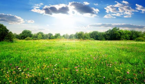 Terrain constructible 670 m2 Sévérac